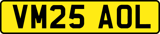 VM25AOL