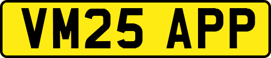 VM25APP