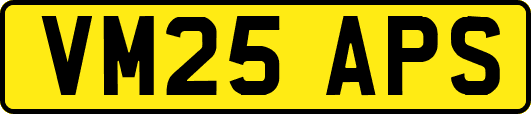 VM25APS
