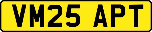 VM25APT