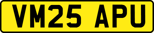 VM25APU