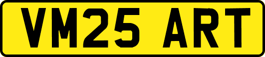 VM25ART