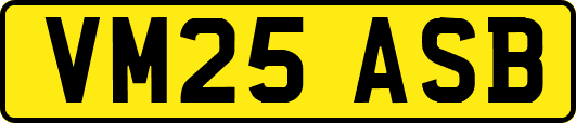 VM25ASB