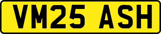 VM25ASH