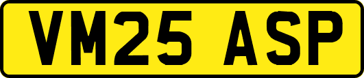 VM25ASP