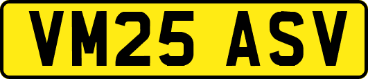 VM25ASV