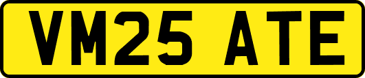 VM25ATE