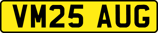 VM25AUG