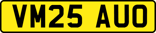 VM25AUO