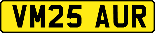 VM25AUR