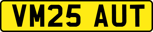 VM25AUT