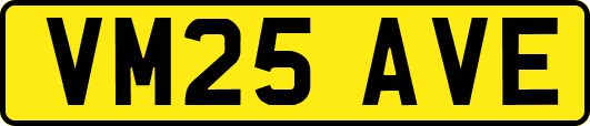 VM25AVE