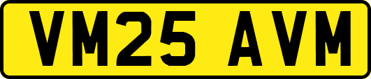 VM25AVM