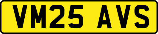 VM25AVS