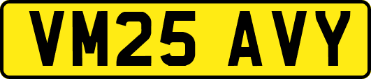 VM25AVY