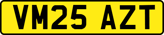 VM25AZT
