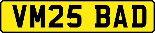 VM25BAD