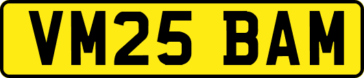 VM25BAM