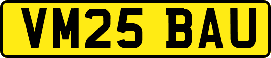VM25BAU