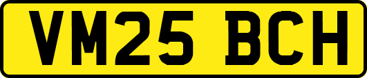 VM25BCH