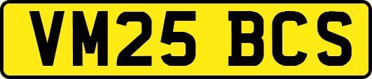 VM25BCS