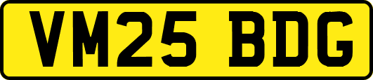 VM25BDG