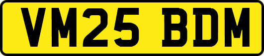 VM25BDM