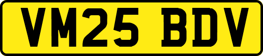 VM25BDV