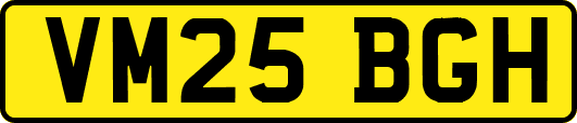 VM25BGH