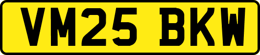 VM25BKW