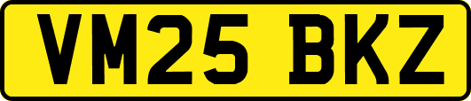VM25BKZ