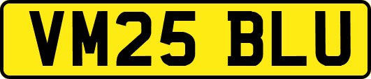 VM25BLU