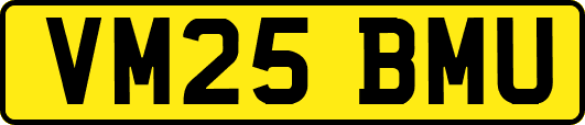 VM25BMU