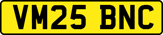 VM25BNC