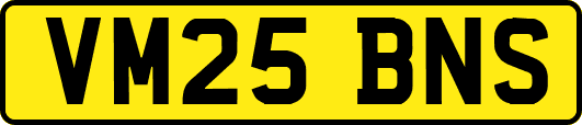VM25BNS
