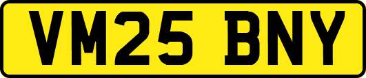 VM25BNY
