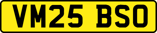 VM25BSO