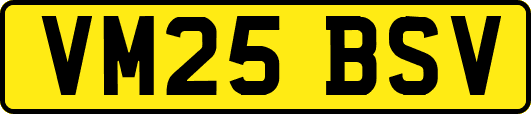 VM25BSV