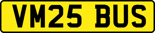 VM25BUS