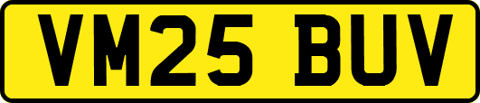 VM25BUV