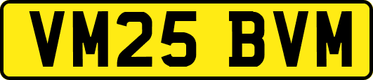 VM25BVM