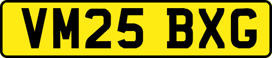 VM25BXG