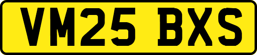 VM25BXS