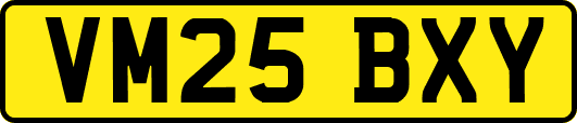 VM25BXY