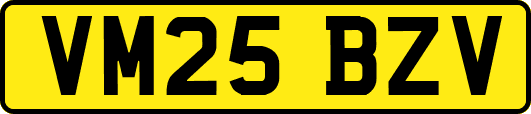 VM25BZV