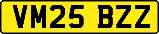 VM25BZZ