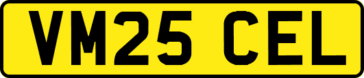 VM25CEL