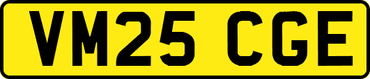 VM25CGE