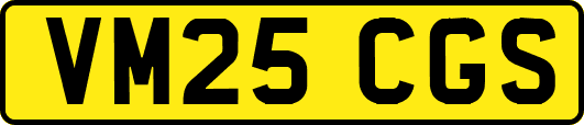 VM25CGS