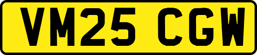 VM25CGW